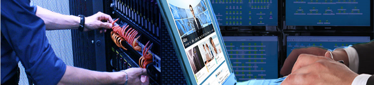 Integridad, Innovaci&oacute;n y Servicio